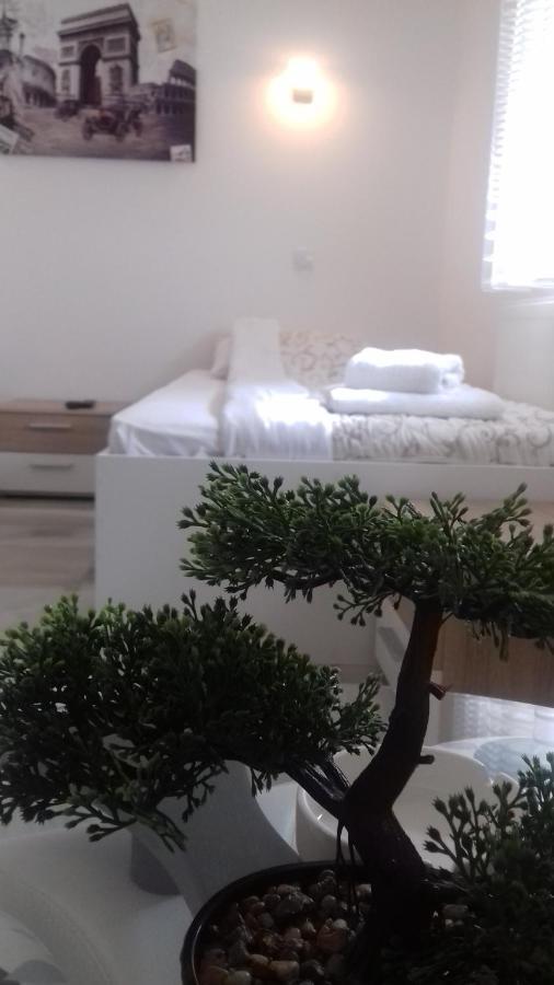 Mesecev Konak Bed and Breakfast Ni Eksteriør billede