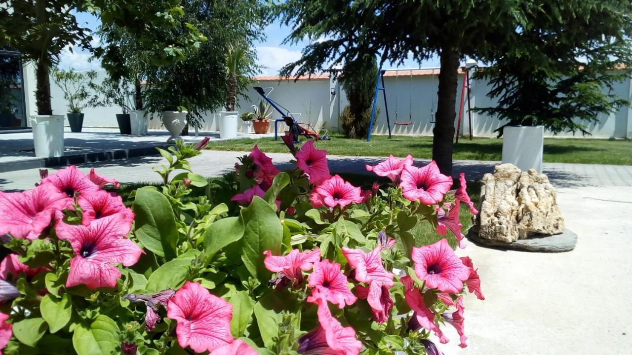 Mesecev Konak Bed and Breakfast Ni Eksteriør billede