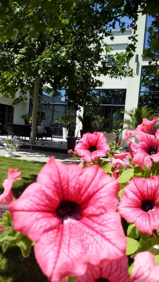 Mesecev Konak Bed and Breakfast Ni Eksteriør billede